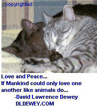 cats love and peace