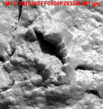 Mars Fossil