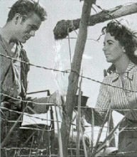 Elizabeth Taylor