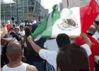 Mexican Flag