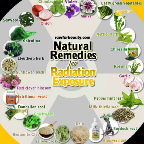 foods herbs for radiation poisoning