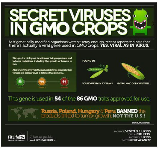 pesticides in GMO foods