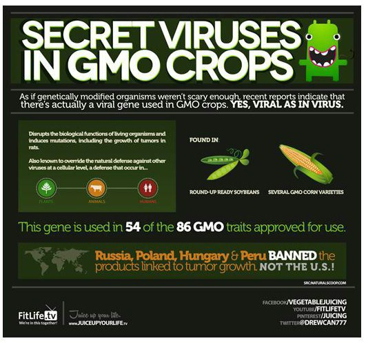 GMO foods