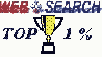 Websearch Top 1%