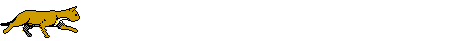Animated Cat